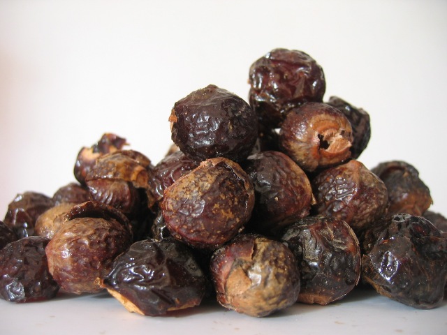 Soapnuts