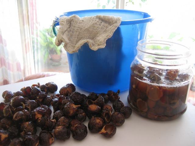 Washing & Cleaning with Soapnuts